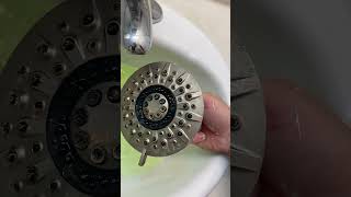 Cleaning A Crusty Kohler Shower Head with CLR shorts [upl. by Aihseuqram269]