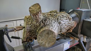 Woodturning  This Ancient Log Looks 1000 Years Old [upl. by Bobseine]