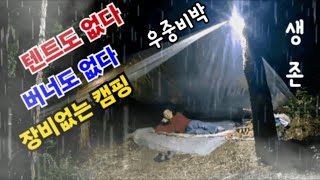 텐트도 장비도없이 비 쏟아지는 산속에서 우중캠핑 즐기며 낭만을 알고 프로 혼술러가 된다 야생 비박 백패킹 [upl. by Fairley922]