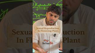 Sexual Reproduction in Flowering Plants  NEET 2025 Biology shorts neet2025 neetpreparation [upl. by Brandenburg]