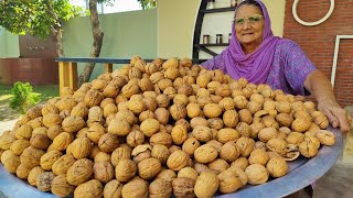 Walnut  Akhrot ka Halwa Recipe [upl. by Lindy]