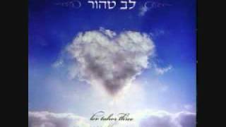 yidid nefesh by lev tahor [upl. by Meara]