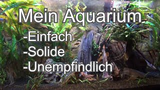 Aquarium Einfach und Unempfindlich Skalar Nadelwels Maronibuntbarsch Schilderwelse kein Co2 [upl. by Standing]