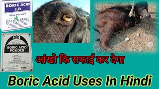 Boric Acid Uses In Hindi  Boric Acid Powder  बोरिक ऐसिड का उपयोग बहुत लाभदायक [upl. by Ursel]