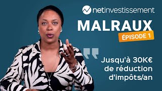 Qu’estce que l’investissement Malraux  Net Academy – Episode 1  Netinvestissement [upl. by Grefer]