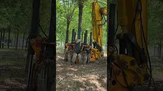 Shredding trees by machine amazing work machine [upl. by Miett]