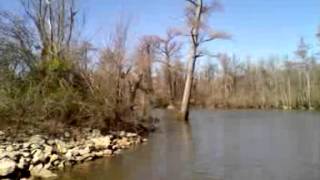 Mill Lake Near Knobel Arkansas [upl. by Eniamreg]