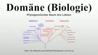 Domäne Biologie [upl. by Lavella757]