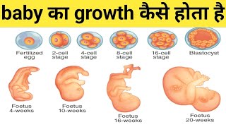 fetus growing in the womb week by week animation video 📸📸📸fetus growing 💗💗❤️❤️ [upl. by Aikaz]