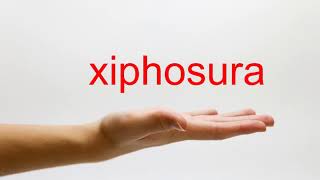 How to Pronounce xiphosura  American English [upl. by Martinsen]