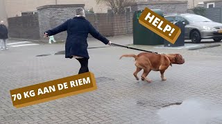 BORDEAUX DOG VAN 70KG NIET TE HOUDEN  Life coach Leidy Zijlstra  Leidymethode ervaring [upl. by Feledy]