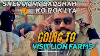 Sherry udas ho gae 😢 Going to Bahawalpur  Visit lion Farms  Asif shero wala Vlogs [upl. by Ariamoy910]