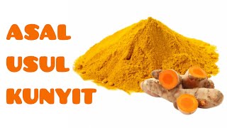 ASAL USUL DAN MANFAAT KUNYIT  ORIGINS AND BENEFITS OF TURMERIC [upl. by Elleb]