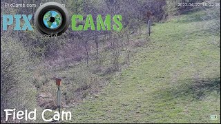 PixCamscom Field Cam Live Stream [upl. by Afira]