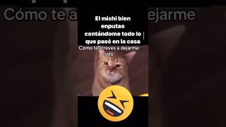 Videos Graciosos😂 shortvideo memes humor memes viralreels viralvideo cute fannyvideo viral [upl. by Soiritos]