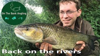 Catching Chub on Pellets at Throop Fishery  Dorset Stour [upl. by Essyle219]