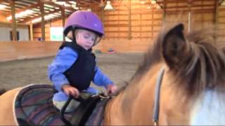 Toddler LOVES Ponies 2 Cutest Little Rider  Age 1 [upl. by Ynohtnaluap895]