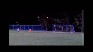 State Cup Goals and Runs [upl. by Harod]