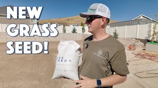 How To Grow New Grass From Seed [upl. by Lazar]