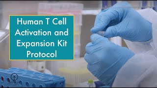 Human T Cell Activation and Expansion Kit Protocol  Akadeum Life Sciences [upl. by Madai358]