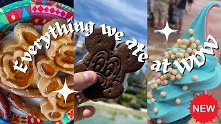 Walt Disney World Food and Snacks 2024 [upl. by Maurilia372]