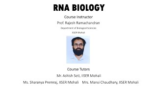 snRNA rRNA miRNA siRNA Processing Export and Function Introns and Link to Splicing [upl. by Miguel]