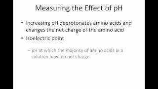 Amino Acid Isoelectric Point [upl. by Ieluuk914]