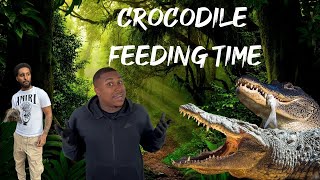 Feeding Crocodiles In The UK At Crocodiles Of The Word 😎 [upl. by Akkimat890]