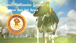 Van koe tot Kaas  Een kijkje achter de schermen [upl. by Mouldon]