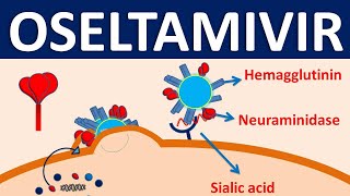 Oseltamivir  Mechanism side effects precautions amp uses [upl. by Horwath]