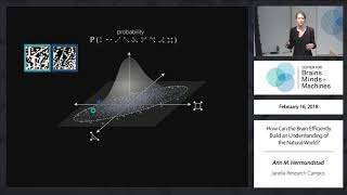 How Can the Brain Efficiently Build an Understanding of the Natural World [upl. by Mastrianni74]