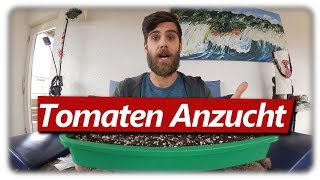 Tomaten erfolgreich aussäen  Wann und wie [upl. by Malinin815]