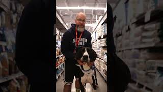 Dave and Donkey at PetSmart Adoption Event 462024 [upl. by Ahilam]