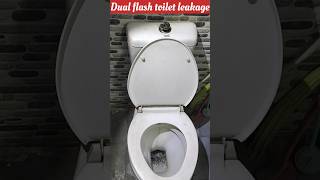 Dual flush toilet keeps running  टॉयलेट में हमेशा पानी चलता रहता है shorts [upl. by Debo]