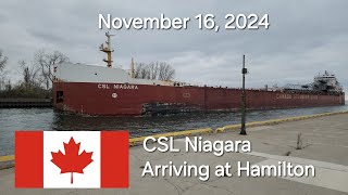 CSL Niagara Arriving at Hamilton Harbour • November 16 2024 [upl. by Luise997]