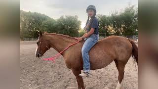 Benton Franklin Fair amp Rodeo Livestock Video Contest  Tessa Stone [upl. by Laemaj425]