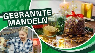 Weihnachstmarkt 🎄 gebrannte Mandeln schnell zu Hause selber machen I Einfach Thermomix [upl. by Laven]