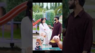 Yara Dildara Song kashmirisongs ishfaqkawa shortsfeed [upl. by Akiemehs466]