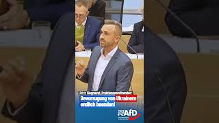 Ukrainer Bürgergeld Asylbewerberleistungsgesetz AfD Ukraine Ltlsa UlrHD afd afdfraktion [upl. by Tandie]