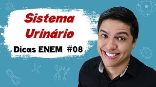 SISTEMA URINÁRIO OU EXCRETOR  DICAS ENEM BIOLOGIA 08  Prof Kennedy Ramos [upl. by Selry]