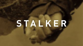 The Visuals of Andrei Tarkovskys Stalker [upl. by Billye737]