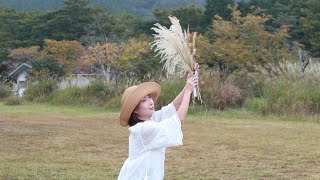 AT 仙石原すすき草原⛰️🍁🌾🍂Sengokuhara Susuki grasslands full part 4 [upl. by Aynod]