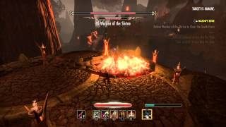 Elder Scrolls Online Solo Dungeon Boss  Warden of the Shrine [upl. by Dode]