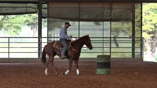 Brandon Cullins Starting Your Horse on the Pattern [upl. by Prunella]