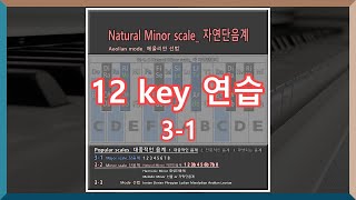 Popular scale대중적인 음계  31 Minor Scales  Natural Minor scale 자연단음계 [upl. by Wartow]