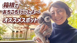 【Vlog】箱根でリフレッシュ〜いろいろ行ってきました！ [upl. by Burleigh]