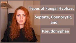 Types of Fungal Hyphae Septate Coenocytic and Pseudohyphae [upl. by Juliane167]