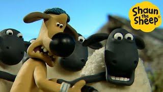 Shaun the Sheep 🐑 Sheep Drama  Cartoons for Kids 🐑 Full Episodes Compilation 1 hour [upl. by Hun]