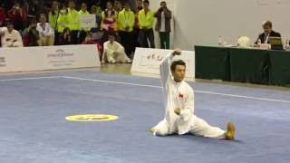 Chen Shi Taijiquan 1st World Taijiquan Championship2014 Chen Weijie [upl. by Chasse]