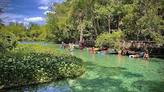 Wekiva Springs  June 1st 2024 [upl. by Leeann]